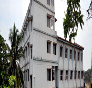 Bachelor of Social Work (BSW)